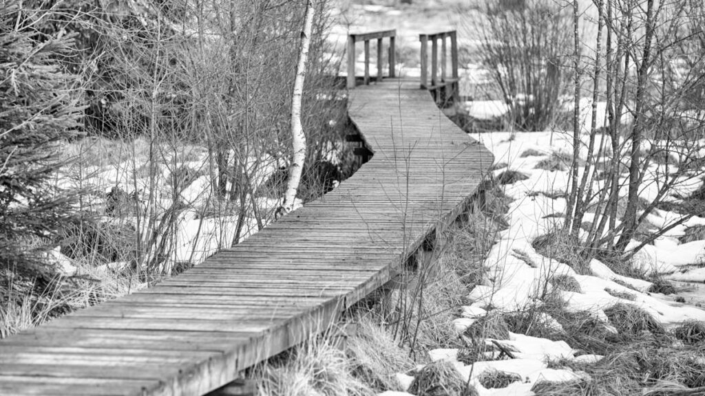 iso-potager Fagnes en noir et blanc