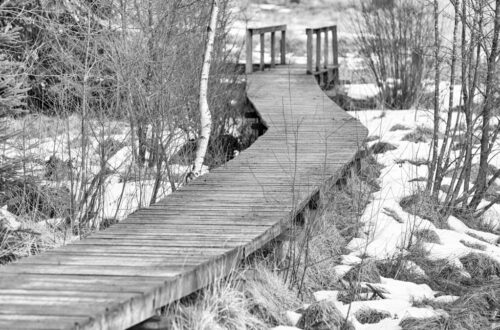 Haute Fagnes en noir et blanc