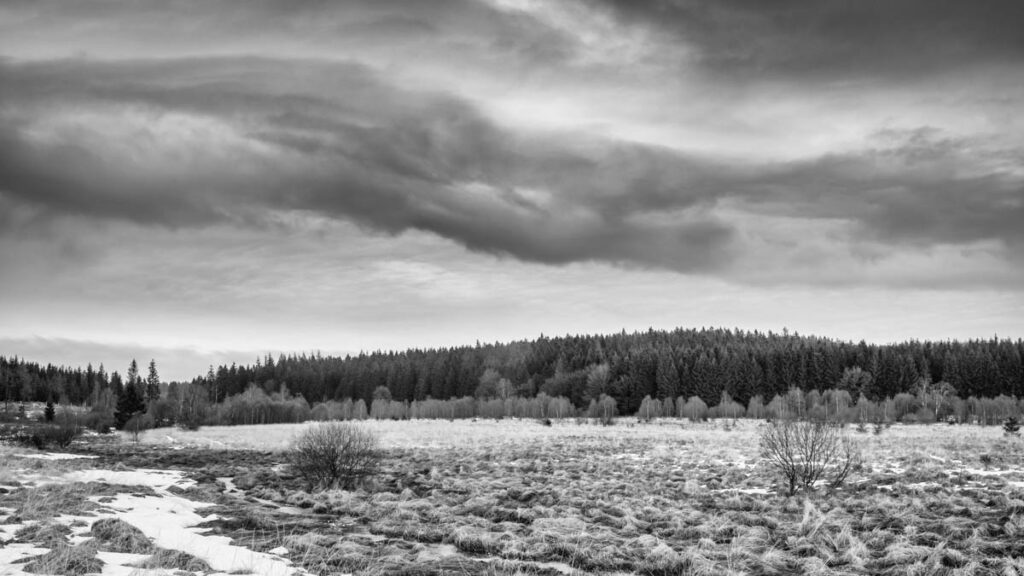 iso-potager Fagnes en noir et blanc