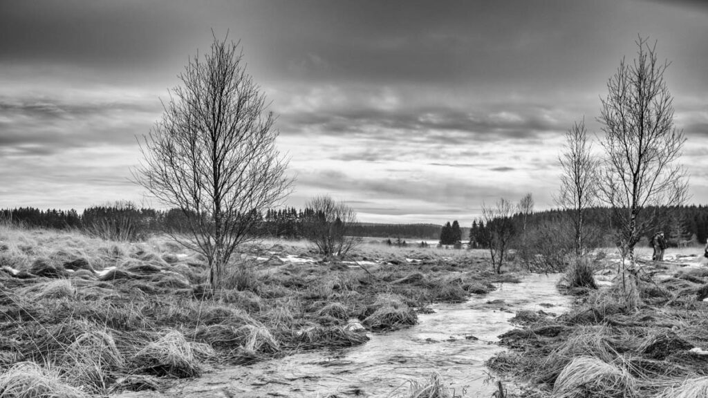 iso-potager Fagnes en noir et blanc