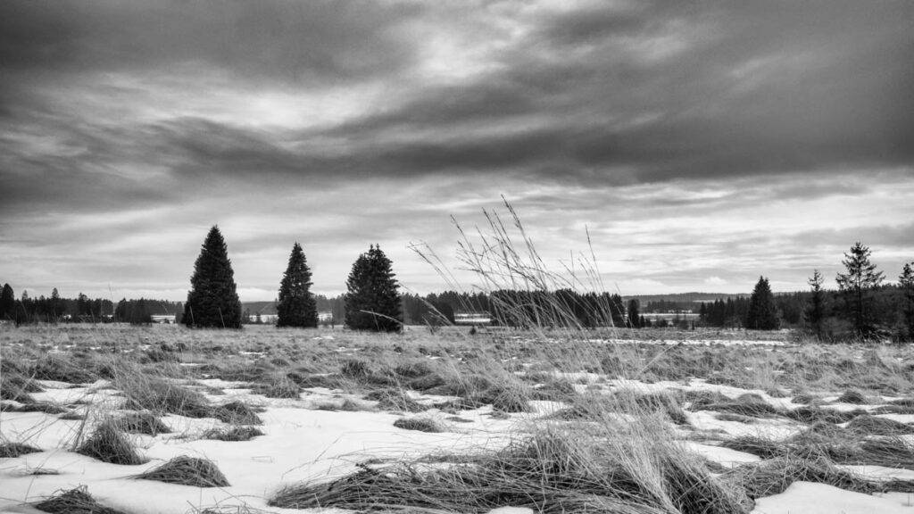 iso-potager Fagnes en noir et blanc