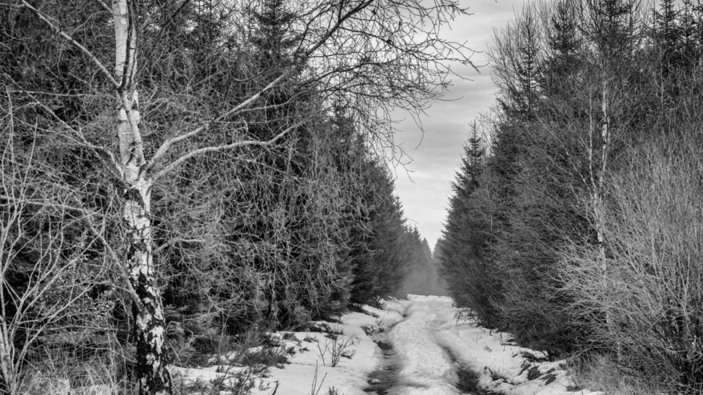 iso-potager Fagnes en noir et blanc